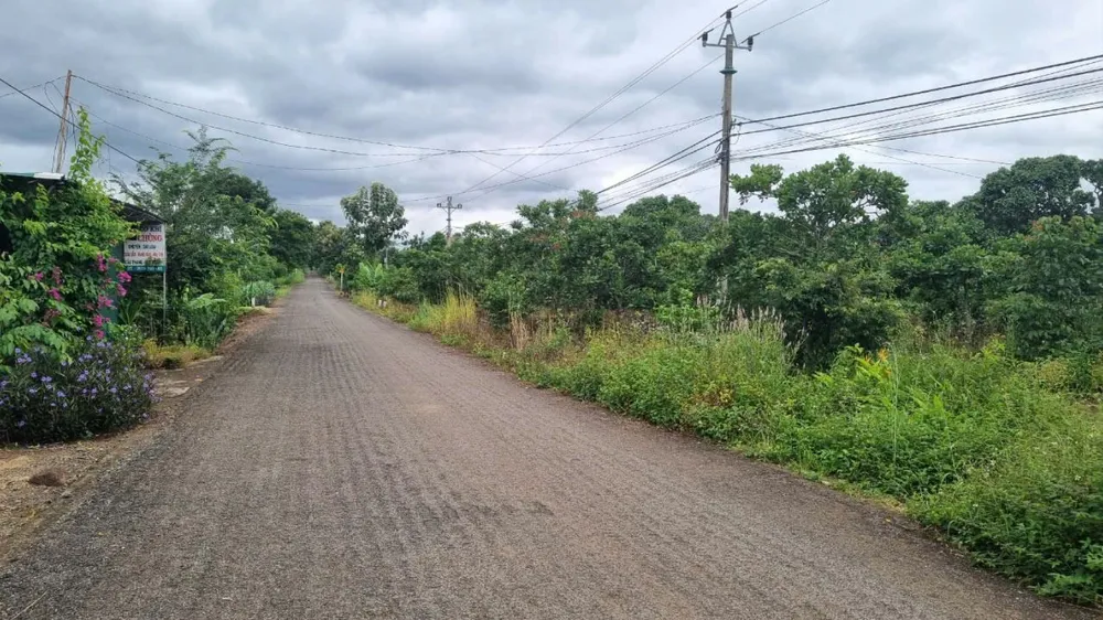 tai n giao thông 1.jpg