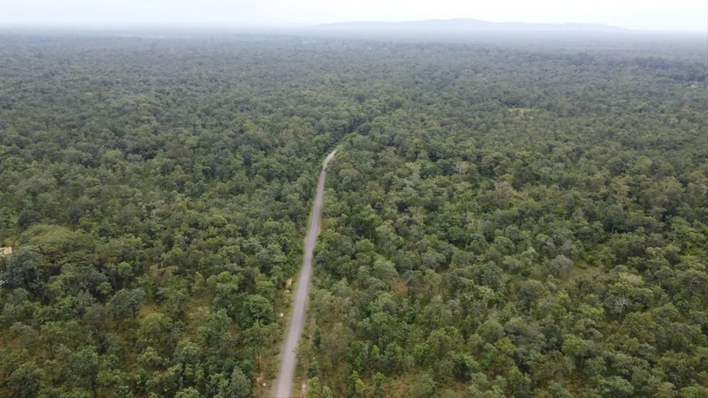 Máy bay rơi 0013.jpg