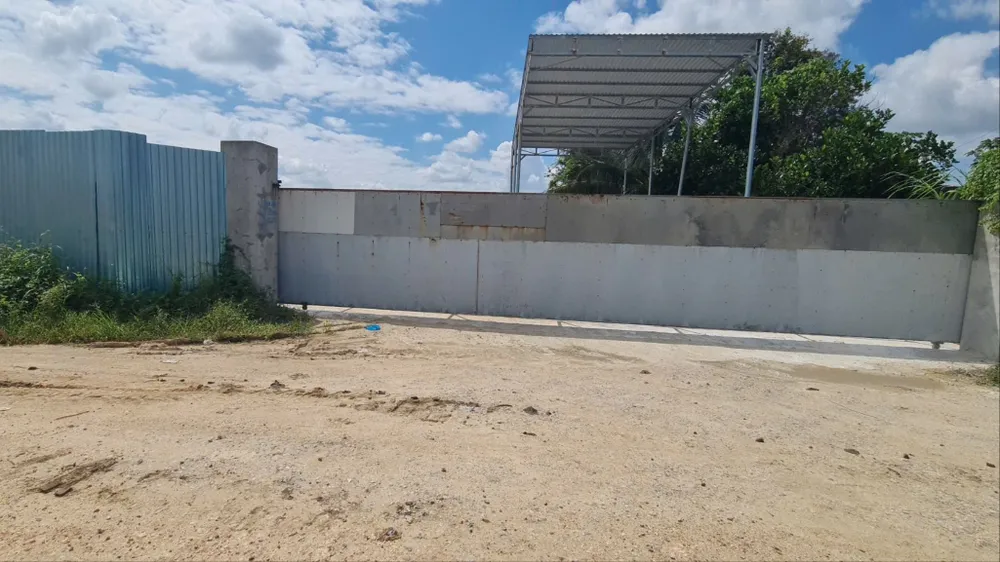 trang trại heo 1.jpg