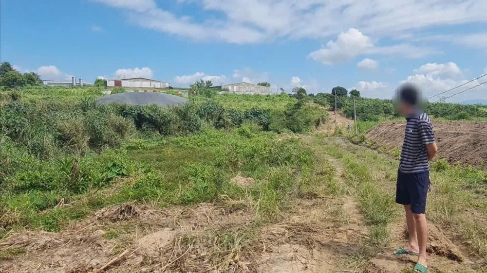 trang trại heo 10.jpg