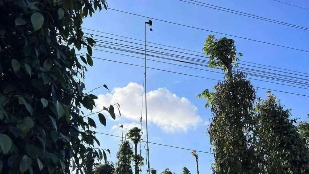 hai vợ chồng.jpg