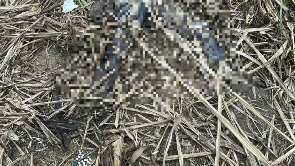 thi thể một phụ nữ.jpg