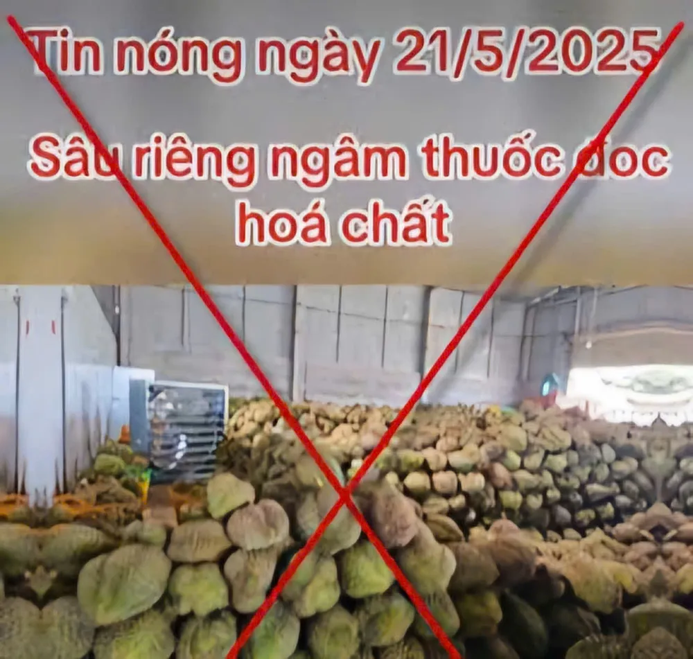 Nhiều thông tin sai sự thật, bị cắt ghép lan truyền trên mạng xã hội. Ảnh chụp màn hình sầu riêng nhúng hóa chất 1.jpg