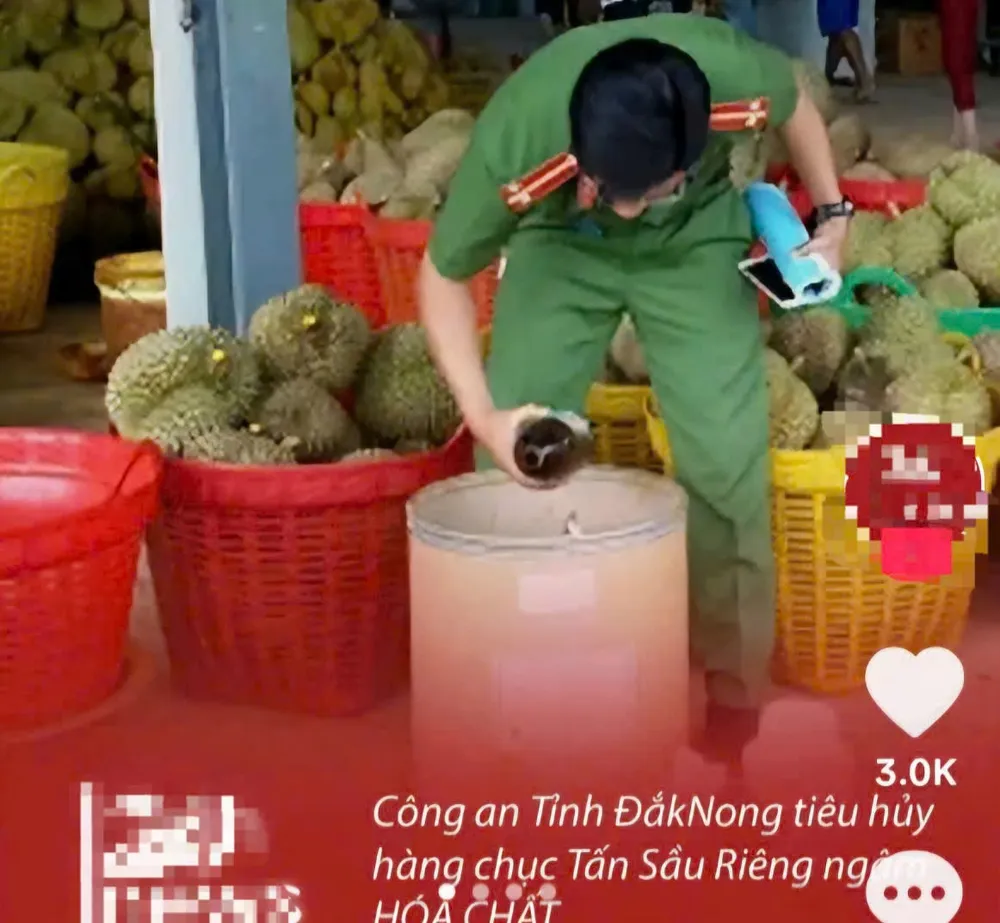 Hình ảnh cũ bị cắt ghép, chỉnh sửa nội dung rồi lan truyền trên mạng xã hội. Ảnh chụp màn hình sầu riêng nhúng hóa chất.jpg