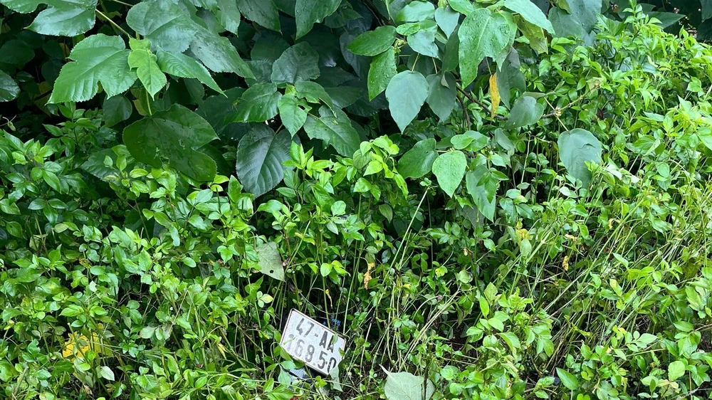 hai thanh niên 1.jpg