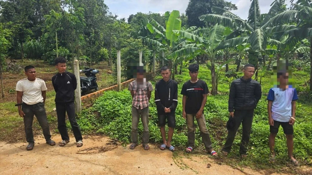 cướp giật điện thoại.jpg