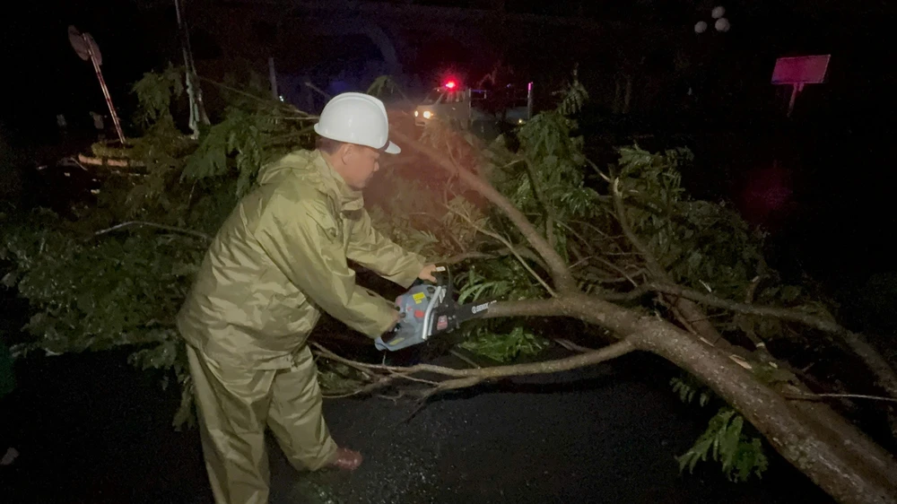 bão số 13 2001.jpg