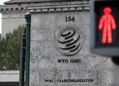 COVID-19 Đức: Không đóng cửa biên giới, có đối sách riêng ảnh 3 WTO hoãn mọi cuộc họp trong 10 ngày vì dịch COVID-19
