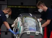 Tổng thống Belarus nói vụ đầu độc ông Navalny là 'giả mạo' ảnh 2 Vụ ông Navalny: EU có rất ít lựa chọn để gây sức ép lên Nga