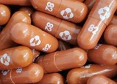 Thuốc kháng thể của Regeneron giảm nguy cơ nhiễm COVID-19 đến 8 tháng ảnh 2 WHO phát động chương trình cung cấp thuốc trị COVID-19 giá 10 USD/liệu trình