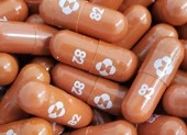 Mỹ thu hồi 2 triệu bộ xét nghiệm COVID-19 của Ellume vì kết quả dương tính giả ảnh 2 Nhật chi 1,2 tỉ USD đặt mua thuốc trị COVID-19 của Merck
