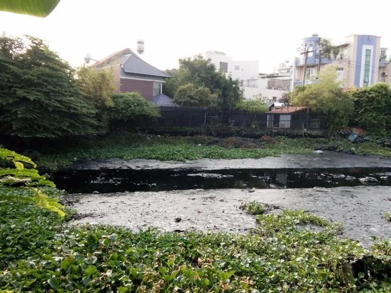 Con rạch nằm giữa Khu Êm Đềm và Khu Nam Long nước đen kịt