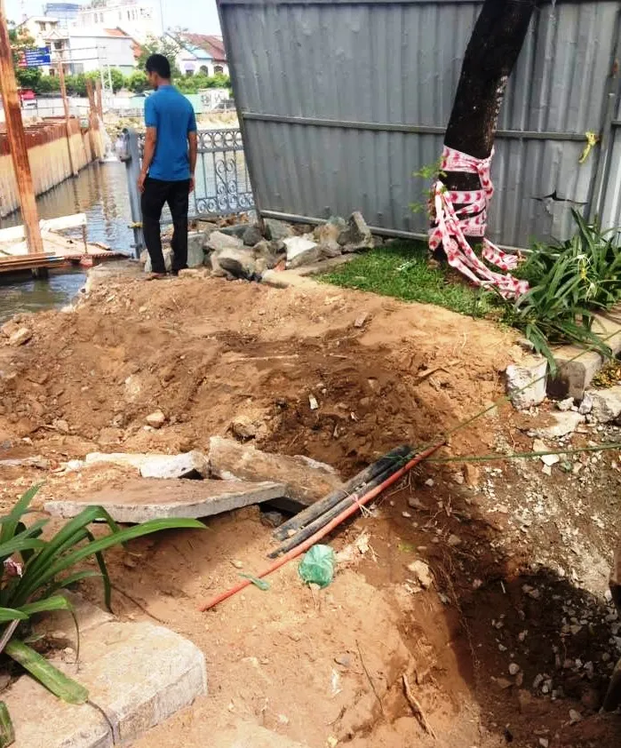 Cảnh cây xanh tan tành vì công trình chạy… Tết ảnh 6