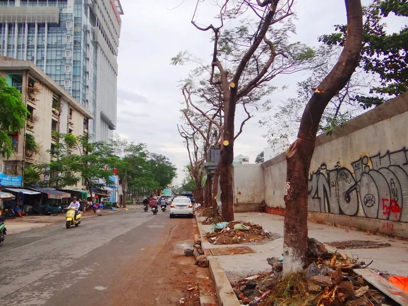 Cảnh cây xanh tan tành vì công trình chạy… Tết ảnh 1