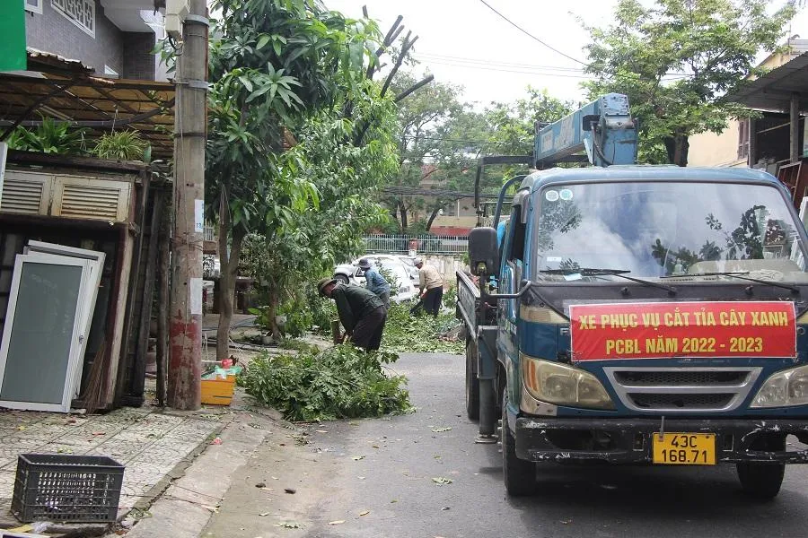 Cắt tỉa cây xanh đường phố để hạn chế ngã đổ. Ảnh: NGÔ QUANG