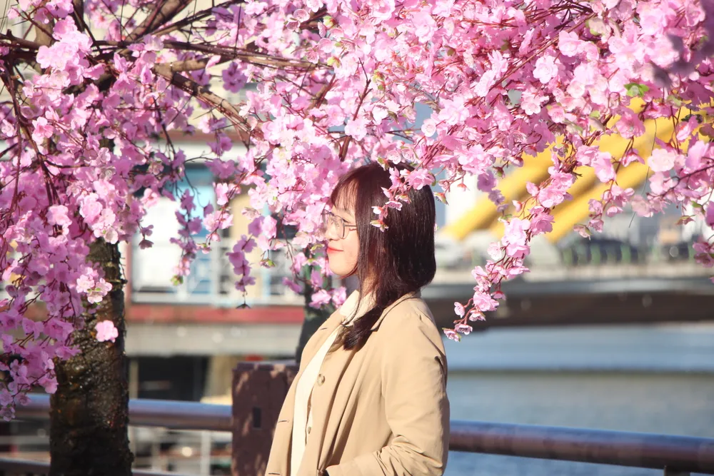 Với muôn ngàn sắc hoa, các tuyến đường trở nên rực rỡ, vô cùng bắt mắt. Dự kiến đường hoa Đà Nẵng sẽ chính thức khai trương vào ngày 29 âm lịch.