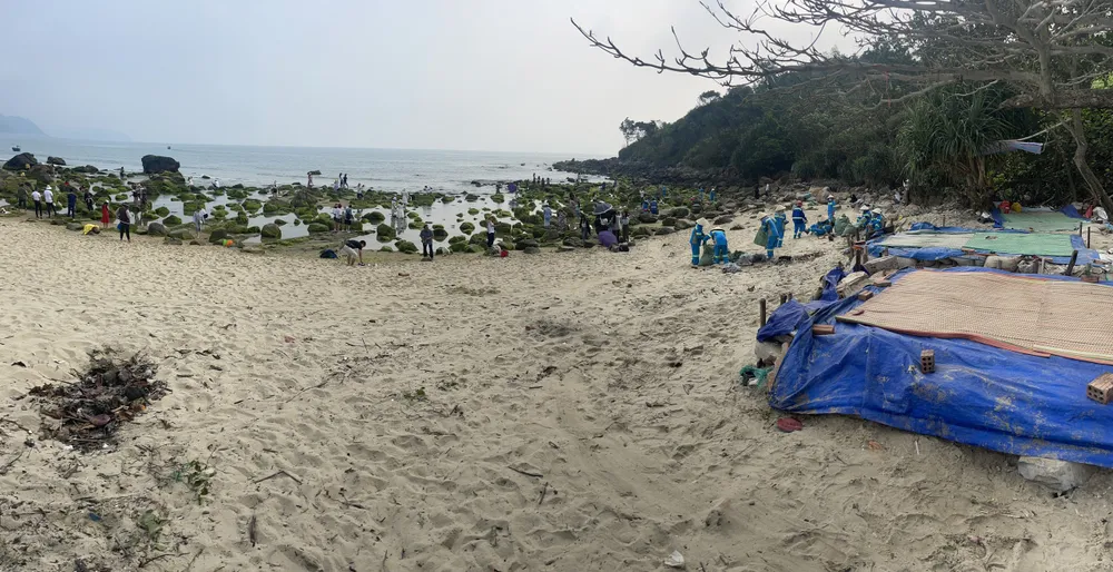 UBND phường Hoà Hiệp Nam phải thuê đơn vị dọn dẹp thu gom rác thải hàng ngày do người dân và du khách thiếu ý thức vứt lại tại bãi rêu Nam Ô. Ảnh: NGÔ QUANG