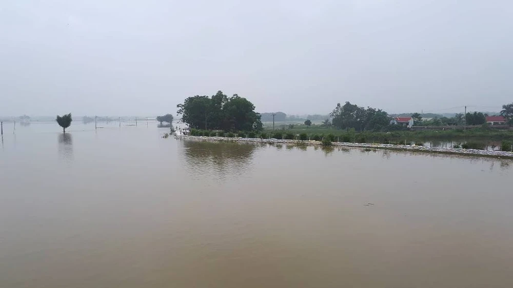 2.700 nhà dân Hà Nội vẫn ngập chìm trong lũ ảnh 2