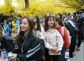 Thủ tướng ‘chốt’ lịch nghỉ tết Âm lịch 2021 ảnh 2 Đề xuất 2 phương án nghỉ Tết Nguyên đán Tân Sửu 2021