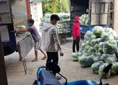 Cả chục ngàn tấn hàng 'ùn tắc' vì quy định khắt khe ảnh 2 Doanh nghiệp Hải Dương kêu cứu vì nhiều tỉnh… cấm xe