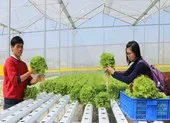 Đề xuất Chính phủ hỗ trợ các ngành sản xuất trọng điểm ảnh 2 Doanh nghiệp nhỏ và vừa được cấp bù lãi suất vay 2%/năm