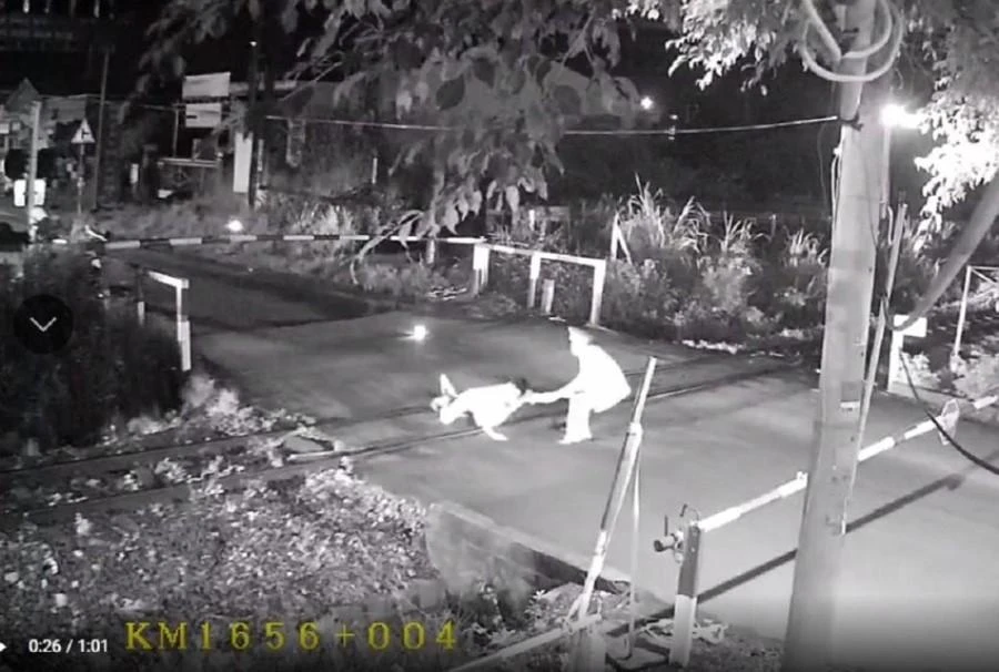 Hình ảnh ghi lại hành động dũng cảm cứu người của anh Trịnh Văn Tài. Ảnh: V.HỘI