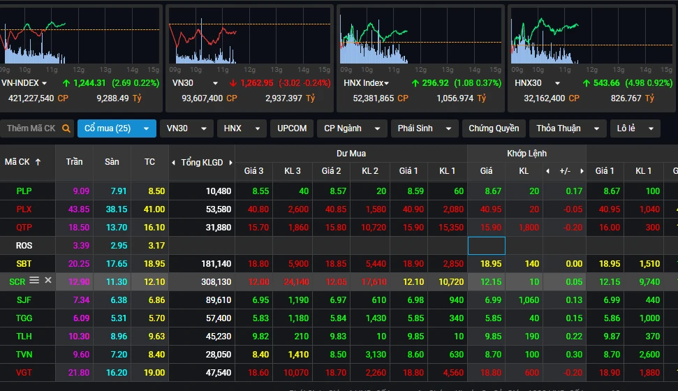 Hôm qua ROS có một phiên tăng trần. Ảnh: V.LONG