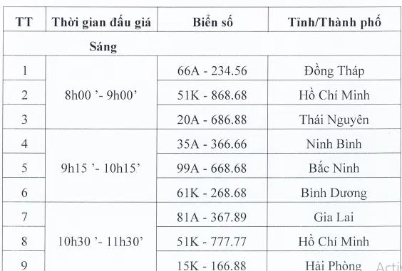 Giá biển số xe ô tô đẹp TP.HCM hạ nhiệt, người mua cân nhắc hơn ảnh 1 dau-gia-22-9.png