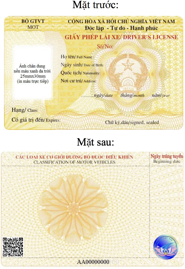 Mẫu bằng lái xe được áp dụng từ ngày 1-1-2025. Ảnh: V.LONG