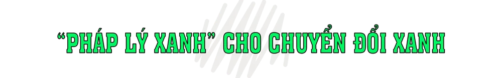 phap ly xanh.png