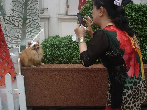 TP.HCM rộn ràng, kẹt cứng đường trong đêm Giáng sinh ảnh 9