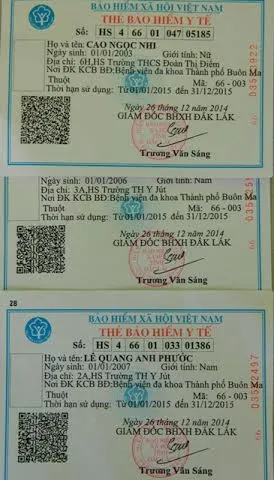 bảo hiểm y tế, sai ngày sinh, Buôn Ma Thuột bảo hiểm y tế, sai ngày sinh, Buôn Ma Thuột