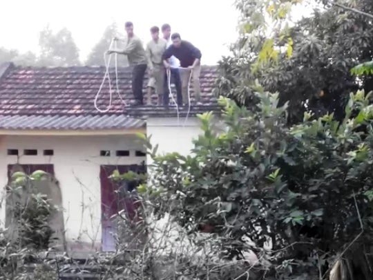 Người dân đứng trên mái nhà thả giây thòng lòng bắt con trâu điên