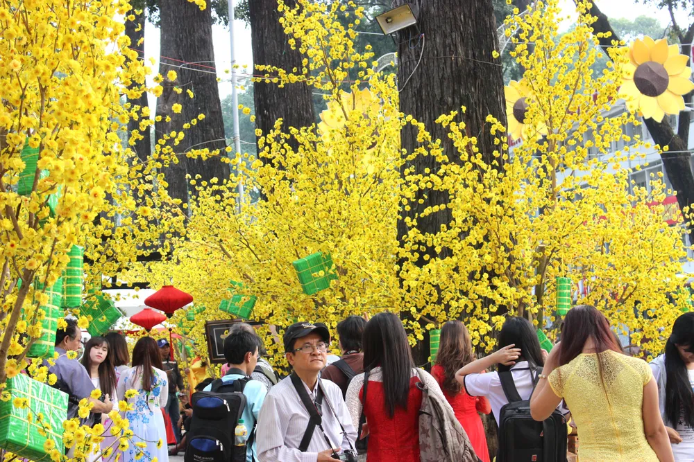 TP.HCM: Già trẻ dắt nhau xuống phố ông đồ ảnh 16