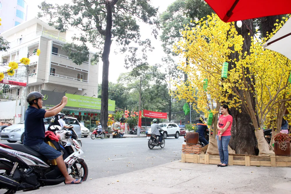 TP.HCM: Già trẻ dắt nhau xuống phố ông đồ ảnh 9