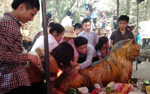 Hà Tĩnh, 'hổ thần', chùa Hương, chữa bệnh