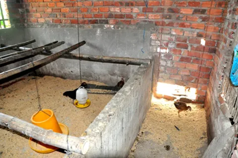 Gà, người nghèo, Bí thư, Chủ tịch xã, Quảng Nam