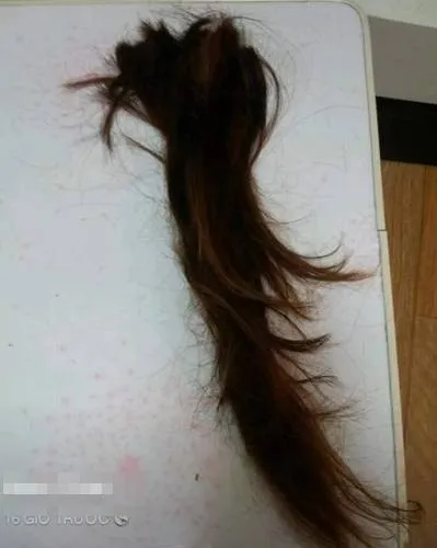 Bạo hành, đánh đập, căn tai, vợ chồng, hành hạ Bạo hành, đánh đập, căn tai, vợ chồng, hành hạ