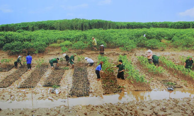 Những bức ảnh về sự biến đổi môi trường sống ở Việt Nam ảnh 12