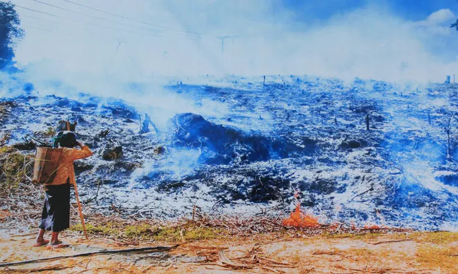 Những bức ảnh về sự biến đổi môi trường sống ở Việt Nam ảnh 5