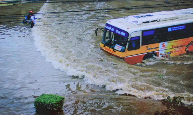 Những bức ảnh về sự biến đổi môi trường sống ở Việt Nam ảnh 3