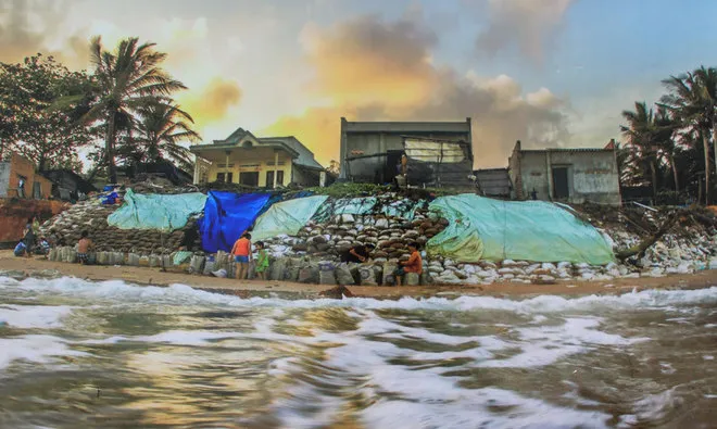 Những bức ảnh về sự biến đổi môi trường sống ở Việt Nam ảnh 4