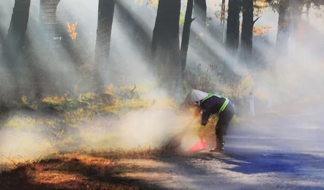 Những bức ảnh về sự biến đổi môi trường sống ở Việt Nam ảnh 9