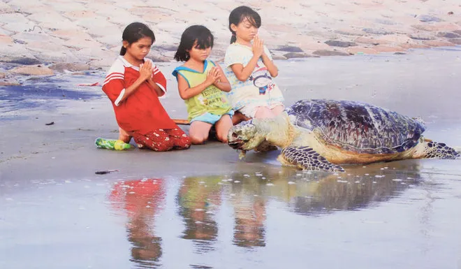 Những bức ảnh về sự biến đổi môi trường sống ở Việt Nam ảnh 10