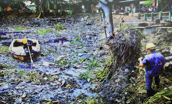 Những bức ảnh về sự biến đổi môi trường sống ở Việt Nam ảnh 1