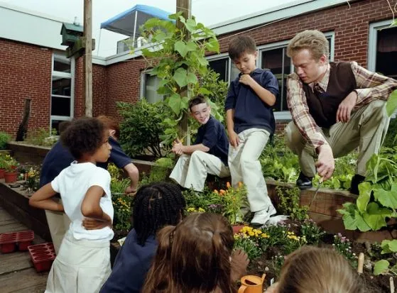 Tiết học 'hỗn hợp' lý thú ở Phần Lan ảnh 1 Tiết học 'hỗn hợp' lý thú ở Phần Lan ảnh 1