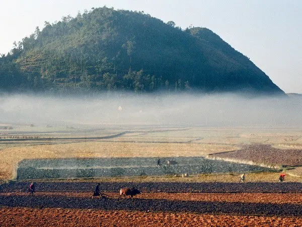 Miền Bắc duy trì thời tiết mưa rét trong 2 ngày nghỉ cuối tuần ảnh 1 Miền Bắc duy trì thời tiết mưa rét trong 2 ngày nghỉ cuối tuần ảnh 1