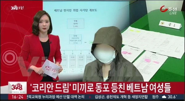 Hàn Quốc phá đường dây lừa đảo lao động người Việt Nam ảnh 1