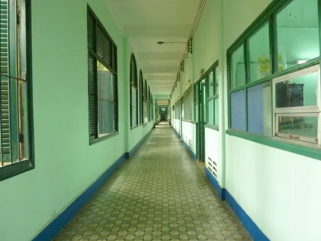 THCS Hồng Bàng – Di tích kiến trúc nghệ thuật của TP ảnh 7 THCS Hồng Bàng – Di tích kiến trúc nghệ thuật của TP ảnh 7