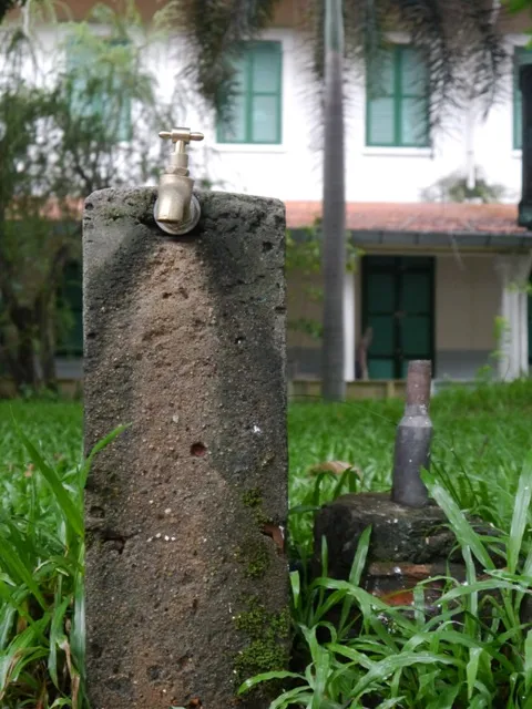 Độc đáo những ngôi trường trăm tuổi ở Sài Gòn ảnh 7